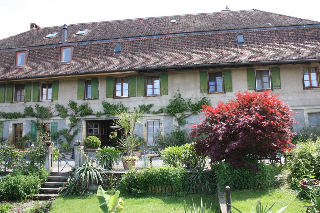 Ofenhaus Villa Murten Værelse billede
